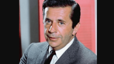 Morey Amsterdam Net Worth